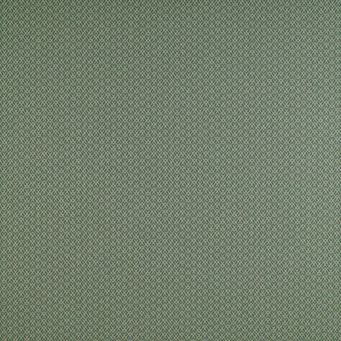 Gaston Y Daniela Chueca Verde Fabric GDT5205.014.0