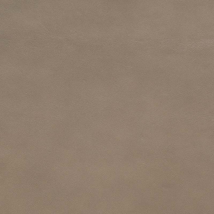 Jasper Evora Taupe Fabric J105-05