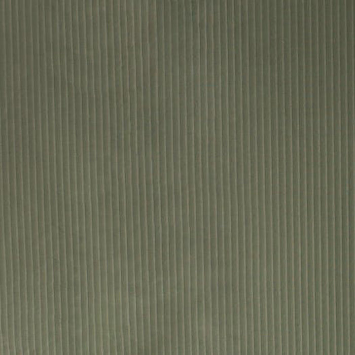 Brunschwig & Fils La Strada Stripe Vert De Gris Fabric JAG-50009.311.0