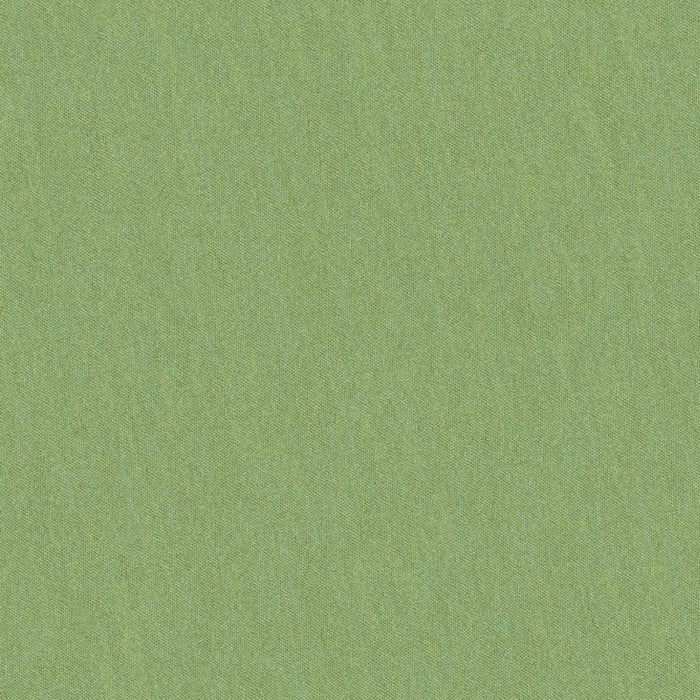 Brunschwig & Fils Shots Tarragon Fabric JAG-50020.3003.0