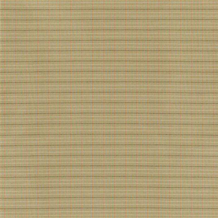 Jasper Market Check Sage Fabric JW-2909