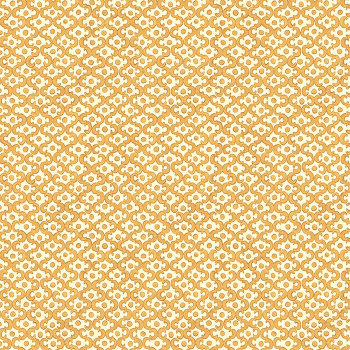 Galbraith & Paul Lattice Cantaloupe Wallpaper