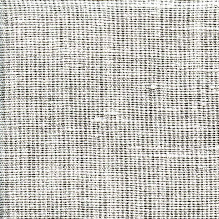 Ast Liege-297 Silver Fabric