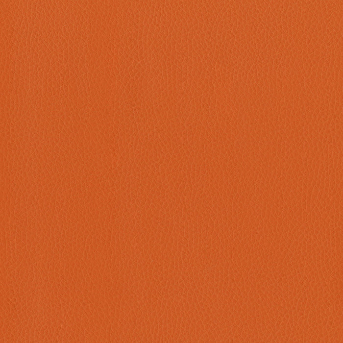 Brentano Triton Clementine Fabric 6823-09