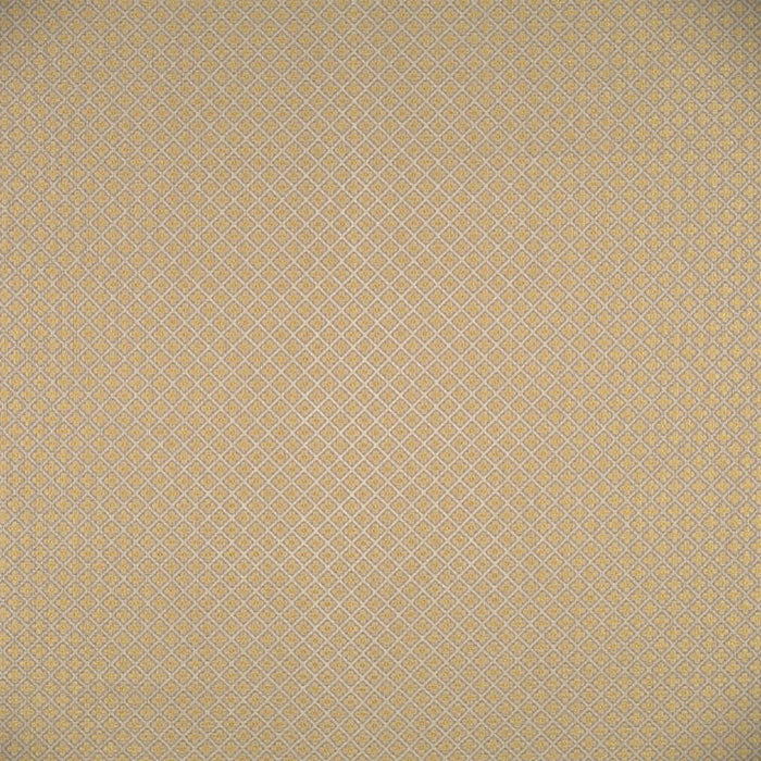 Colony Belgravia Trellis Coloniale Fabric CL 000126521