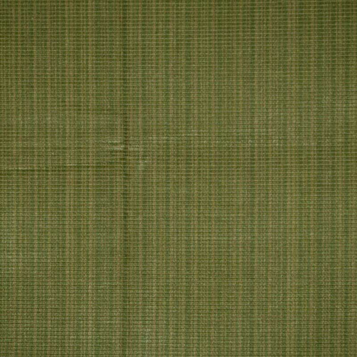 Colony Zerbino Cactus Strie Fabric CL 001726693