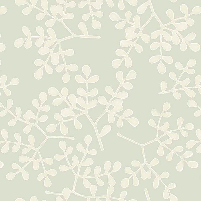 Galbraith & Paul Smokebush Matcha Wallpaper