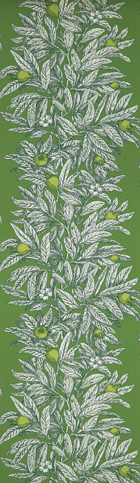 Osborne & Little Medlar 5 Wallpaper W7458-05