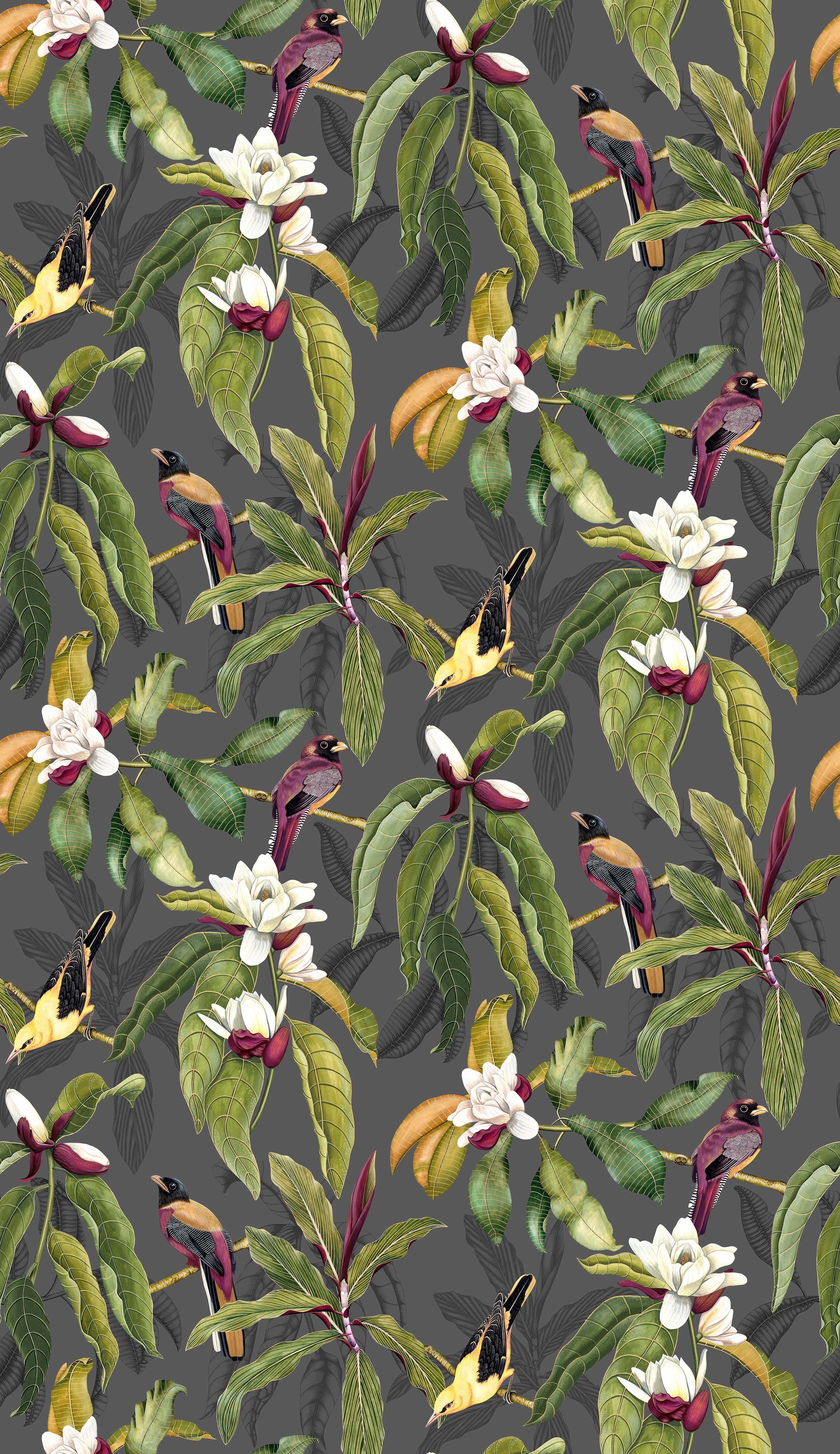 Osborne & Little Michelia 1 Wallpaper W7612-01