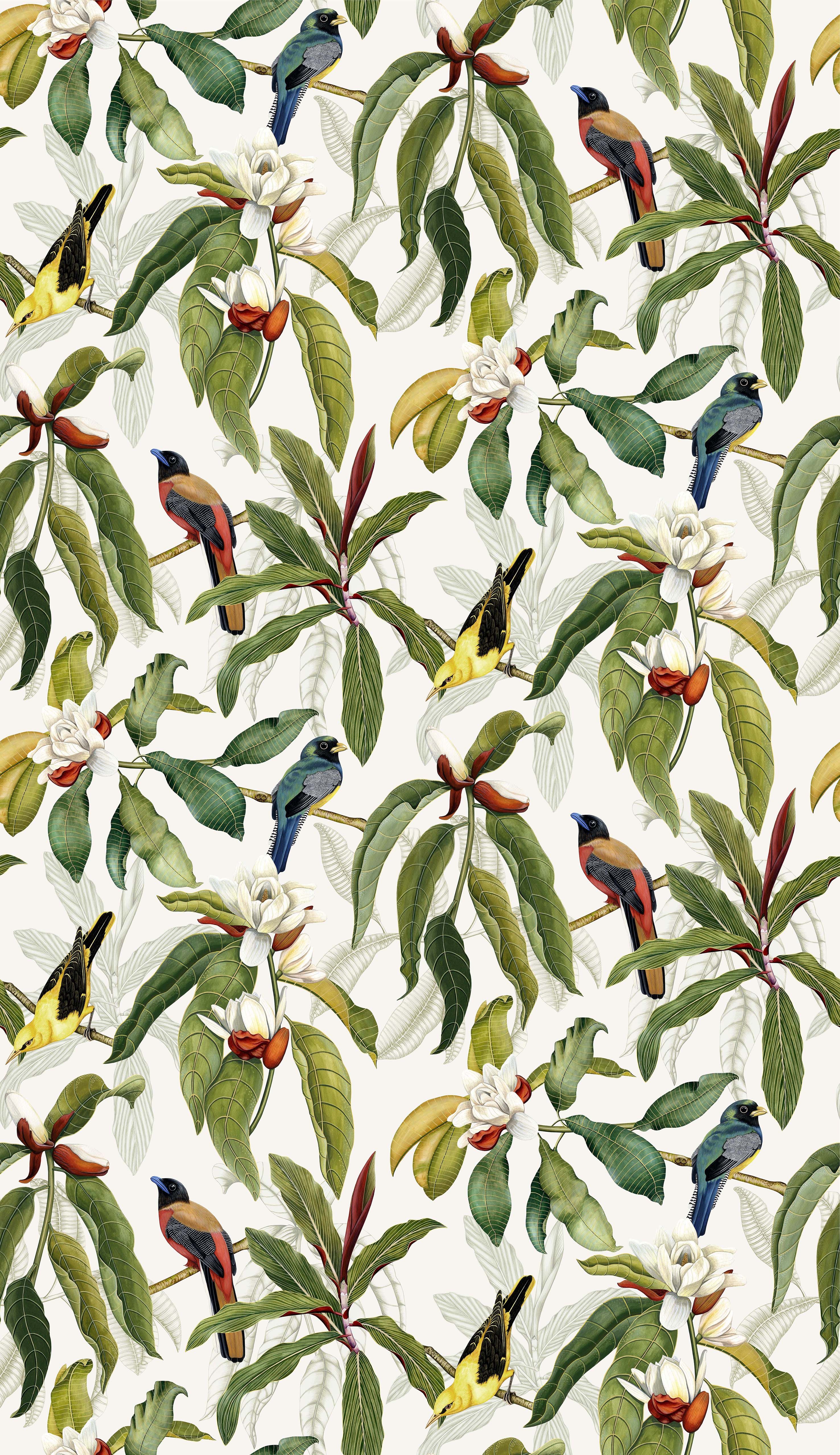 Osborne & Little Michelia 3 Wallpaper W7612-03