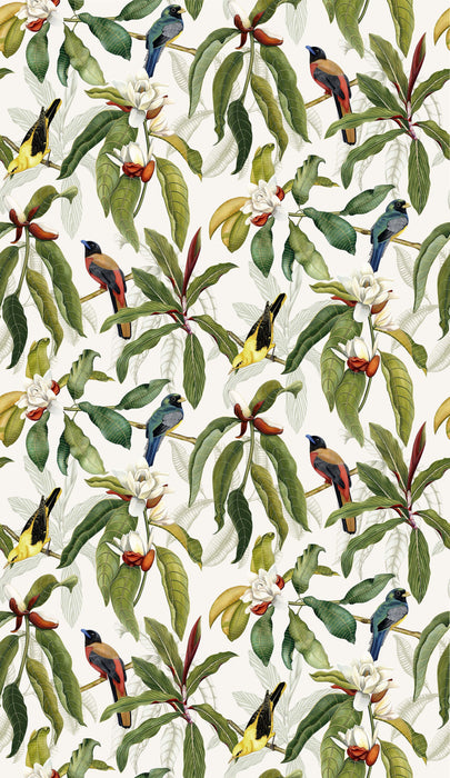 Osborne & Little Michelia 3 Wallpaper W7612-03