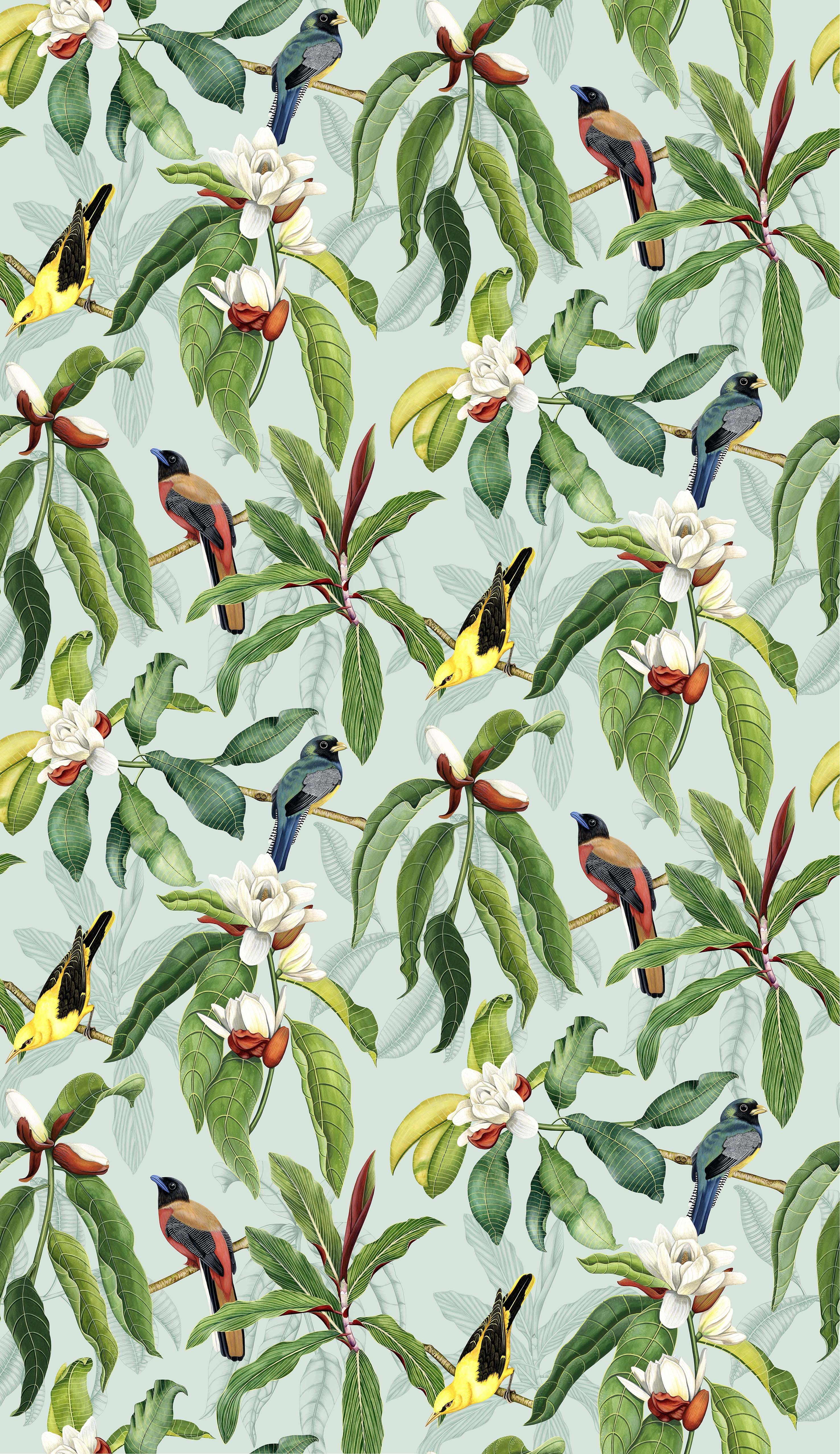 Osborne & Little Michelia 4 Wallpaper W7612-04