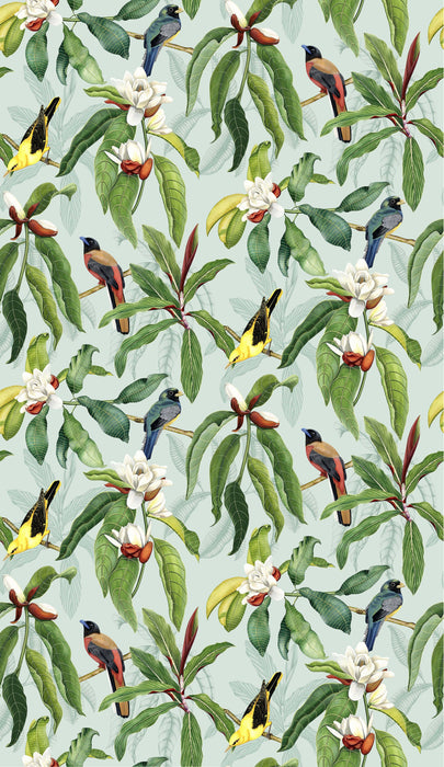 Osborne & Little Michelia 4 Wallpaper W7612-04